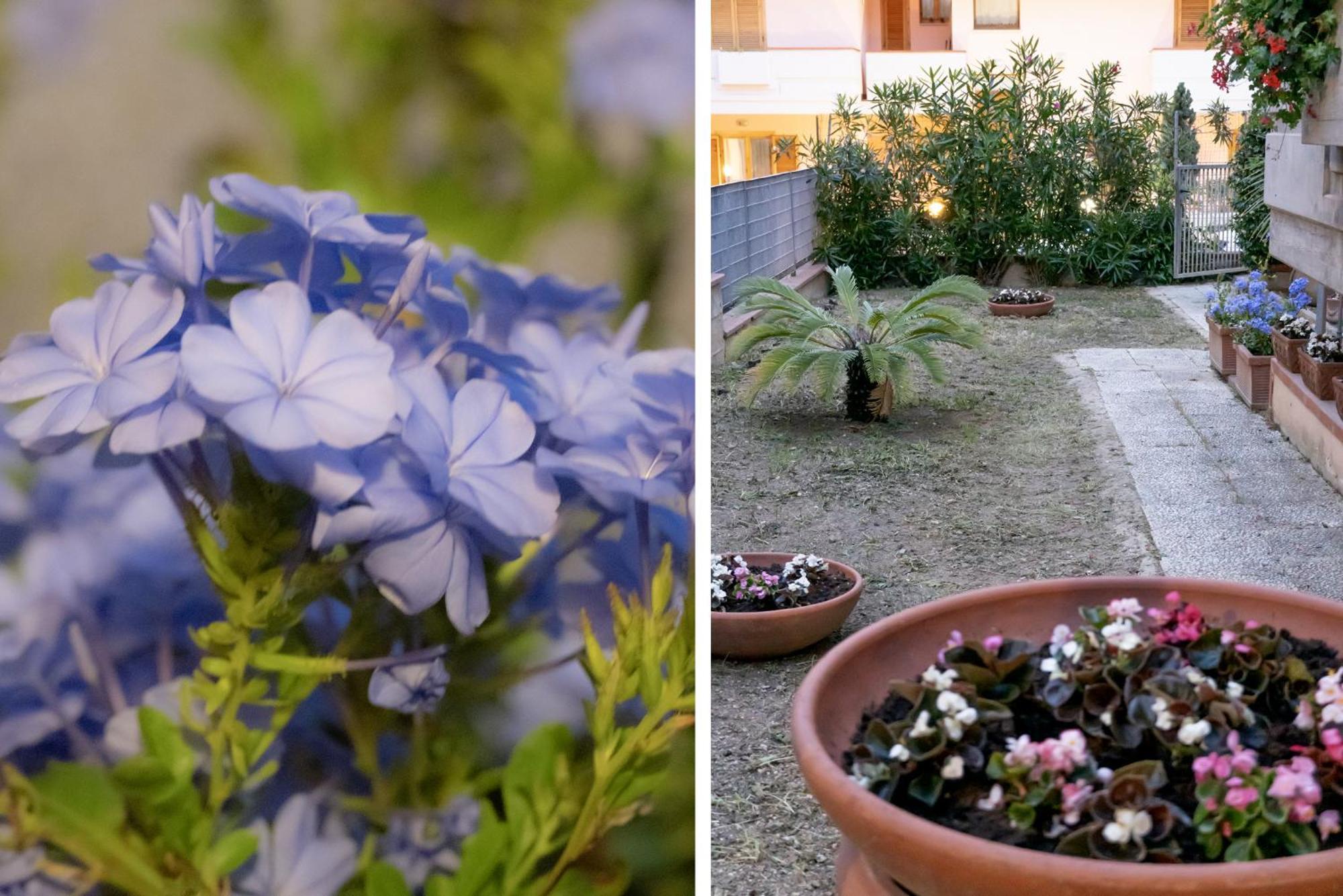 شقة Il Giardino تْشيفيتانوفا ماركي المظهر الخارجي الصورة